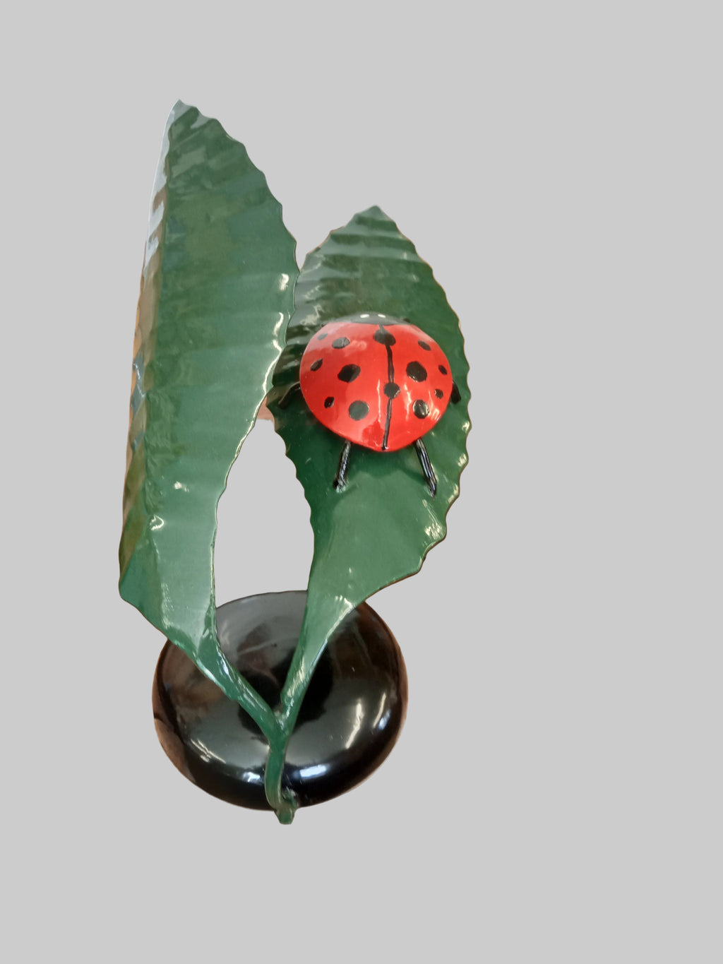 Ladybird Landing