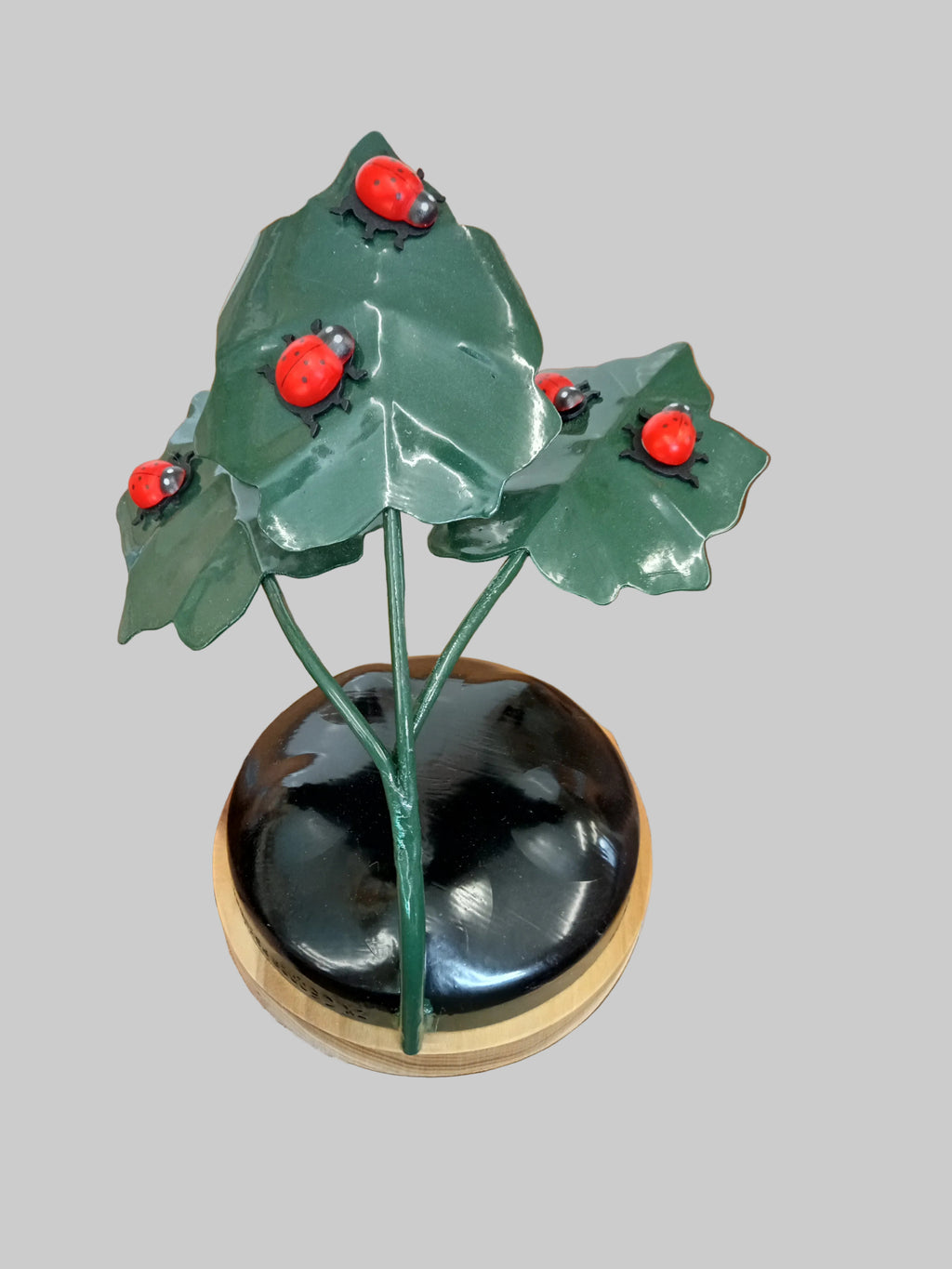 Ladybird Gathering