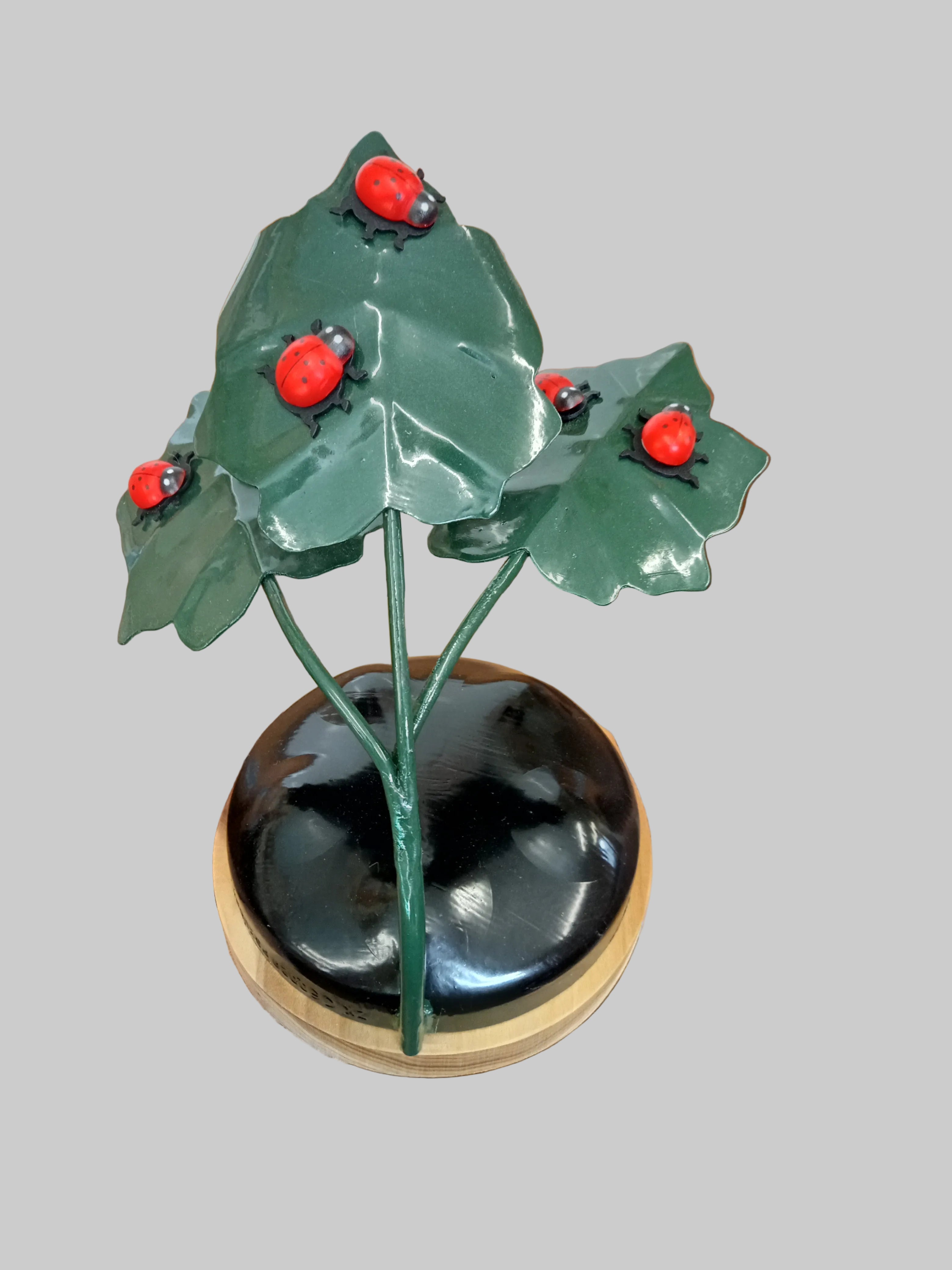 Ladybird Gathering