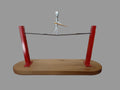 The Tightrope Walker