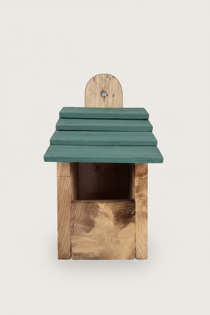 Robin Box – Clean Background